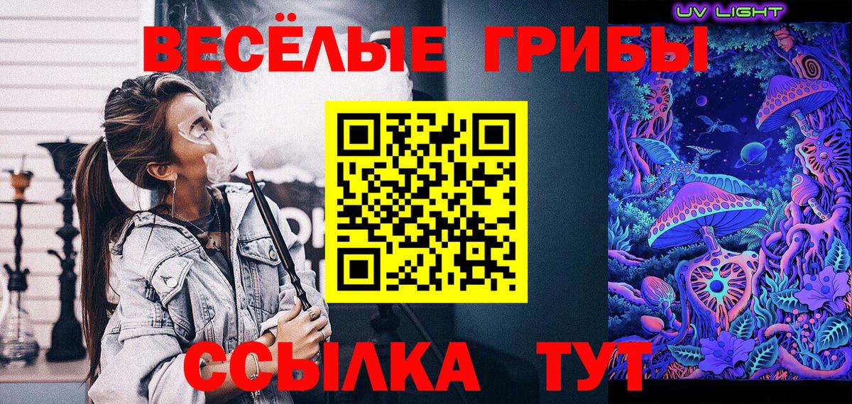 Галлюциногенные грибы ЛСД  Псилоцибиновые грибы Psilocybe  Вход с VPN  Зерноград 