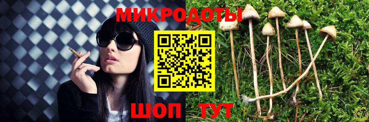 Псилоцибиновые грибы Psilocybe Зерноград