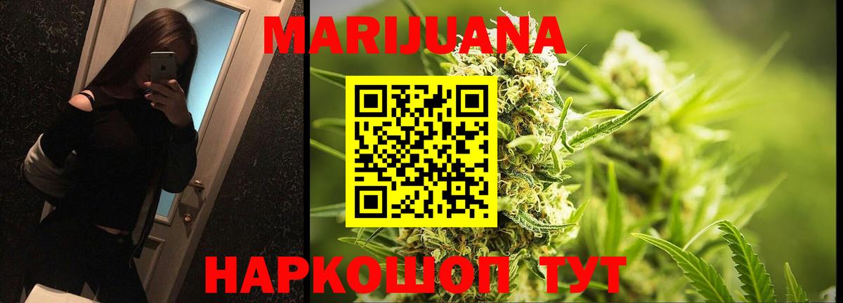 Конопля семена  Конопля сатива  Бошки Шишки семена  Вход с VPN  Зерноград 